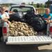 Collected rocks and debris